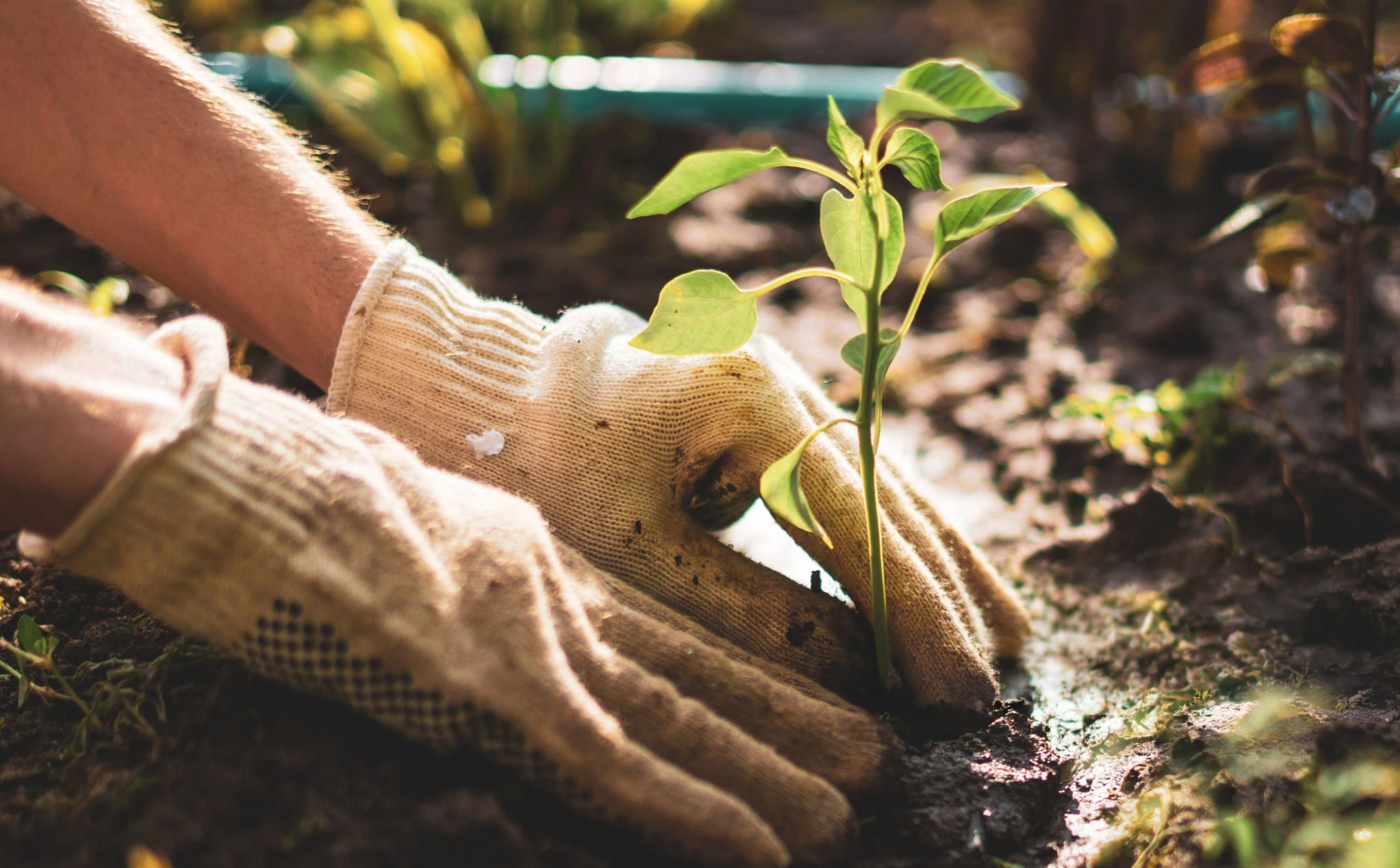 landscaping company nj